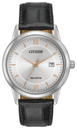 MEN ECO WR SS STRA SLVR