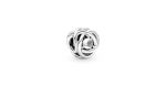 April Clear Eternity Circle Charm 2 DWIMAGE 790064C01 RGB