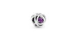 February Purple Eternity Circle Charm 2 DWIMAGE 790065C02 RGB
