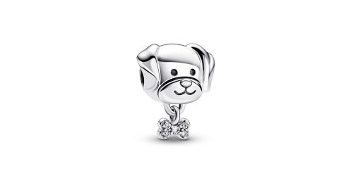 Pet Dog & Bone Charm 1 DWIMAGE 792254C01 RGB