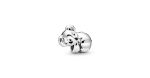Koala Charm 2 DWIMAGE 798431C01 RGB