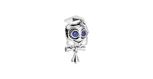 Wise Owl Graduation Charm 1 DWIMAGE 798907C01 RGB