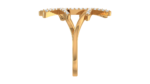 Dual Starfish - Image 4